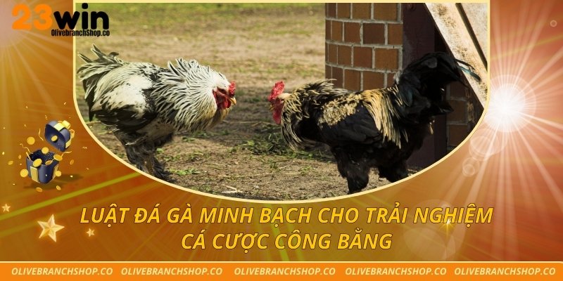Luật Đá Gà Minh Bạch Cho Trải Nghiệm Cá Cược Công Bằng luật đá gà