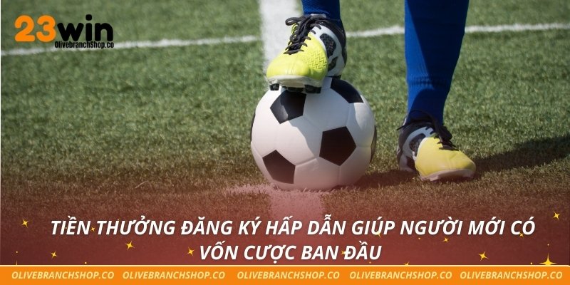 Thể Thao 23win Tiền thưởng đăng ký hấp dẫn giúp người mới có vốn cược ban đầu