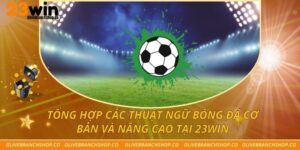 Tổng Hợp Các Thuật Ngữ Bóng Đá Cơ Bản Và Nâng Cao Tại 23win Tổng Hợp Các Thuật Ngữ Bóng Đá Cơ Bản Và Nâng Cao Tại 23win
